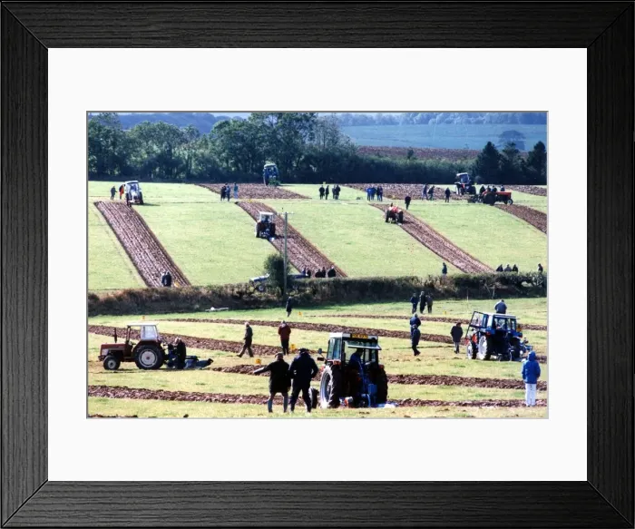 Framed Print : Ploughing - Straight and narrow... The furrows left by competing ploughmen