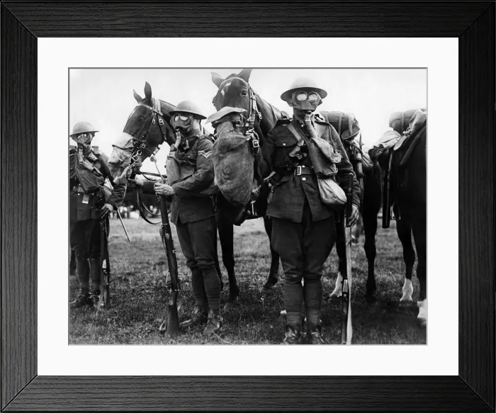 Framed Print : British Army Efficiency Test at Aldershot. Horses and men of the Second Dragoon Guards in Framed Print : British Army Efficiency Test at Aldershot. Horses and men of the Second Dragoon Guards in
