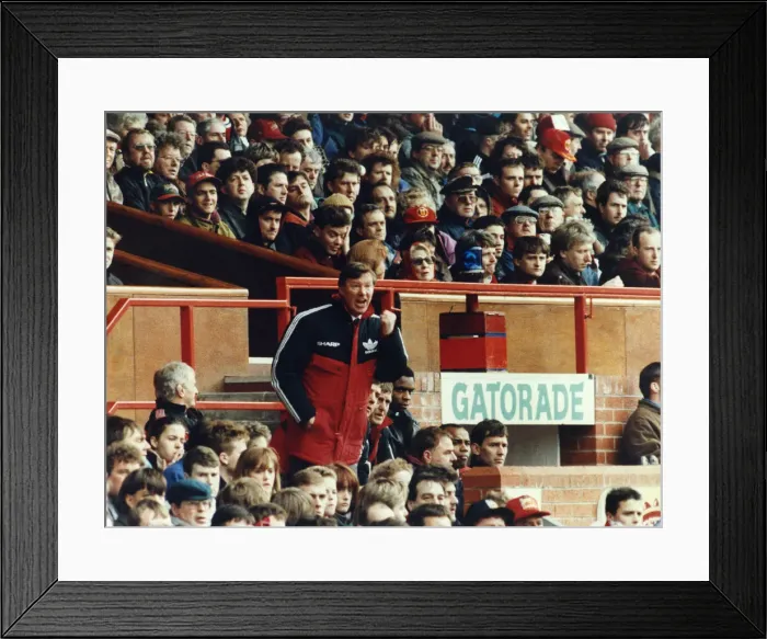 Framed Print : Manchester United manager Alex Ferguson shouts instructions to his team from the dugout Framed Print : Manchester United manager Alex Ferguson shouts instructions to his team from the dugout