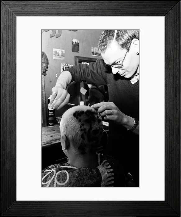 Framed Print : Punk Rocker Nigel Smith getting a Cheetah hairdo. 25th May 1980 Framed Print : Punk Rocker Nigel Smith getting a Cheetah hairdo. 25th May 1980