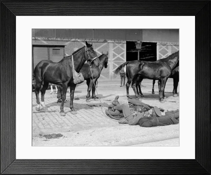 Framed Print : A British soldier takes a break while waiting for his horses to be loaded aboard a Framed Print : A British soldier takes a break while waiting for his horses to be loaded aboard a
