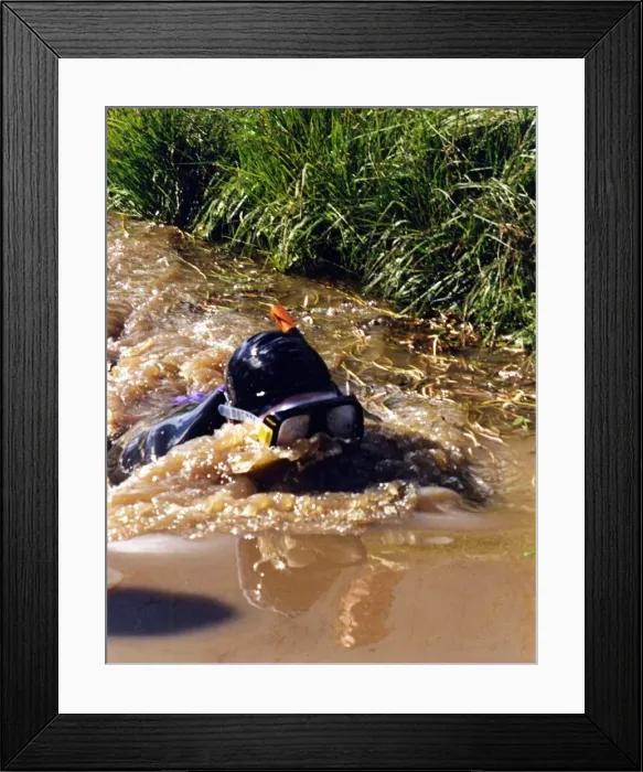 Framed Print : Peter Beumont from Llandaff, Cardiff, in action during his bog snorkling record bid Framed Print : Peter Beumont from Llandaff, Cardiff, in action during his bog snorkling record bid