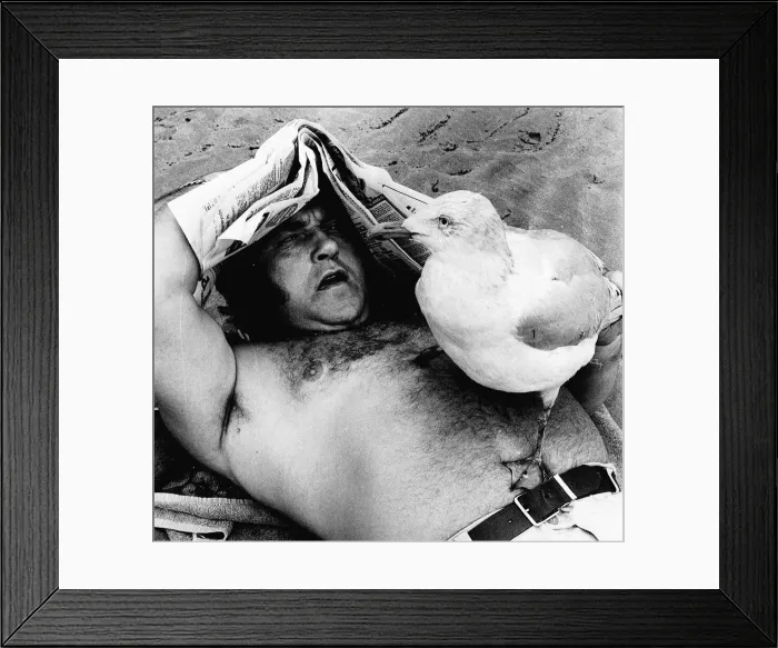 Framed Print : Les Dawson Lying on Bridlington Beach with a stuffed seagull on his chest dbase msi Framed Print : Les Dawson Lying on Bridlington Beach with a stuffed seagull on his chest dbase msi