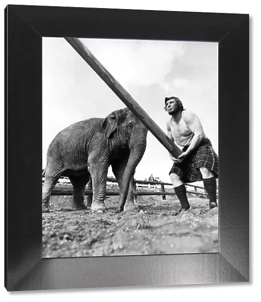 Man Tossing the caber with Tania the elephant watching: on 20th May 1973