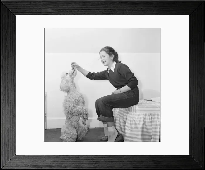 Framed Print : Child star Mandy Miller is pictured here at home on 8th May 1955 Framed Print : Child star Mandy Miller is pictured here at home on 8th May 1955