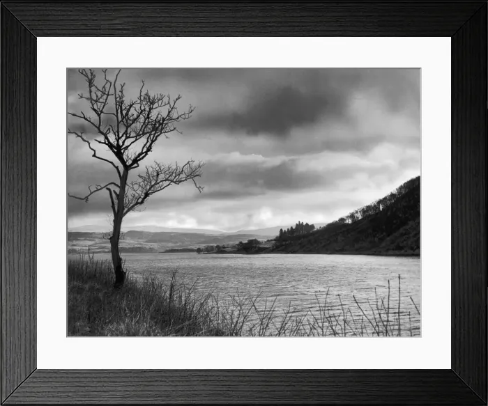 Framed Print : Scenic view of Loch Awe with rolling clouds and bare winter tree. 3rd February 1945 Framed Print : Scenic view of Loch Awe with rolling clouds and bare winter tree. 3rd February 1945