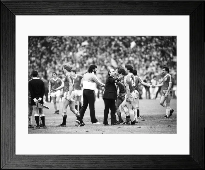 Framed Print : Brighton & Hove Albion v Manchester United FA Cup Final at Wembley Stadium Framed Print : Brighton & Hove Albion v Manchester United FA Cup Final at Wembley Stadium