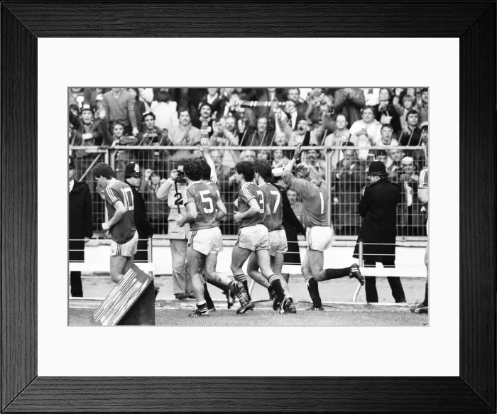 Framed Print : Brighton & Hove Albion v Manchester United FA Cup Final at Wembley Stadium Framed Print : Brighton & Hove Albion v Manchester United FA Cup Final at Wembley Stadium
