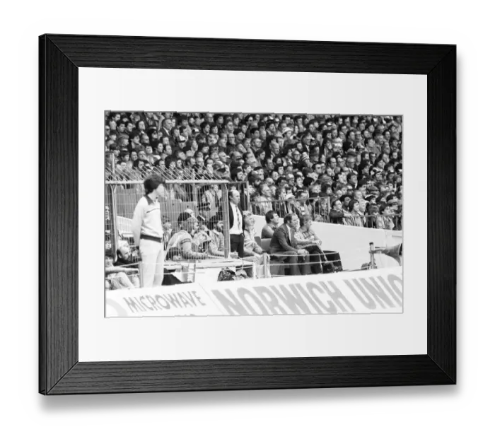 Framed Print : Brighton & Hove Albion v Manchester United FA Cup Final at Wembley Stadium Framed Print : Brighton & Hove Albion v Manchester United FA Cup Final at Wembley Stadium