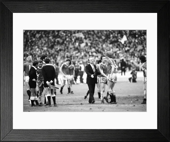 Framed Print : Brighton & Hove Albion v Manchester United FA Cup Final at Wembley Stadium Framed Print : Brighton & Hove Albion v Manchester United FA Cup Final at Wembley Stadium