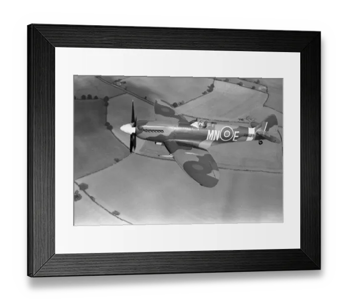 Framed Print : A thousand heads turned as the spine-tingling growl came from somewhere beyond