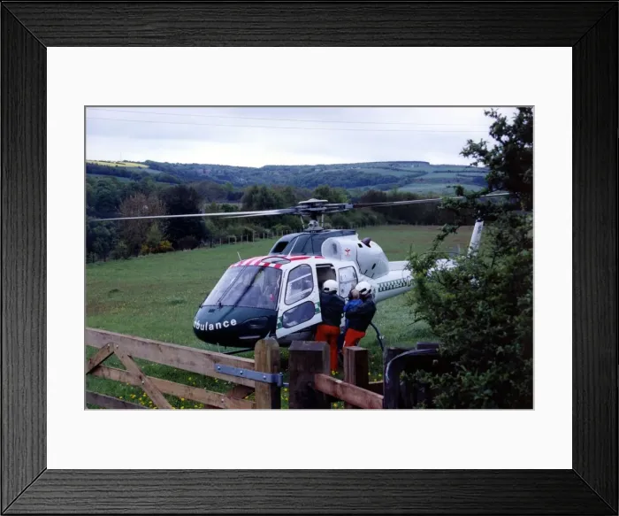 Framed Print : The Eurocopter AS350 Squirrel helicopter used by Northumbria Air Ambulance Framed Print : The Eurocopter AS350 Squirrel helicopter used by Northumbria Air Ambulance