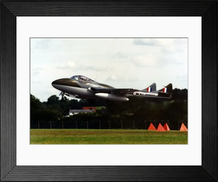 Framed Print : An ex-RAF De Havilland Vampire T55 twin seat training aircraft taking off Framed Print : An ex-RAF De Havilland Vampire T55 twin seat training aircraft taking off