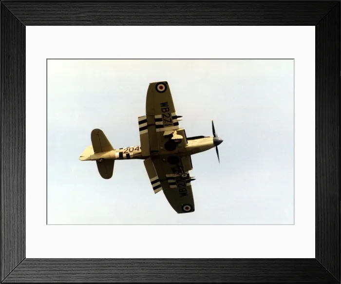 Framed Print : A Royal Navy Fairey Firefly carrier-borne fighter aircraft Framed Print : A Royal Navy Fairey Firefly carrier-borne fighter aircraft