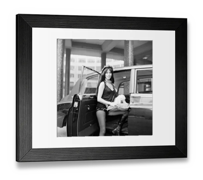Framed Print : The Goodies special Kitten Kong is the BBC entry at the Montreux Festival for Framed Print : The Goodies special Kitten Kong is the BBC entry at the Montreux Festival for