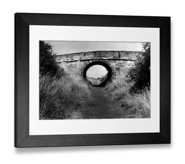Framed Print : The old railway track that is now a nature trail on 29th August 1972