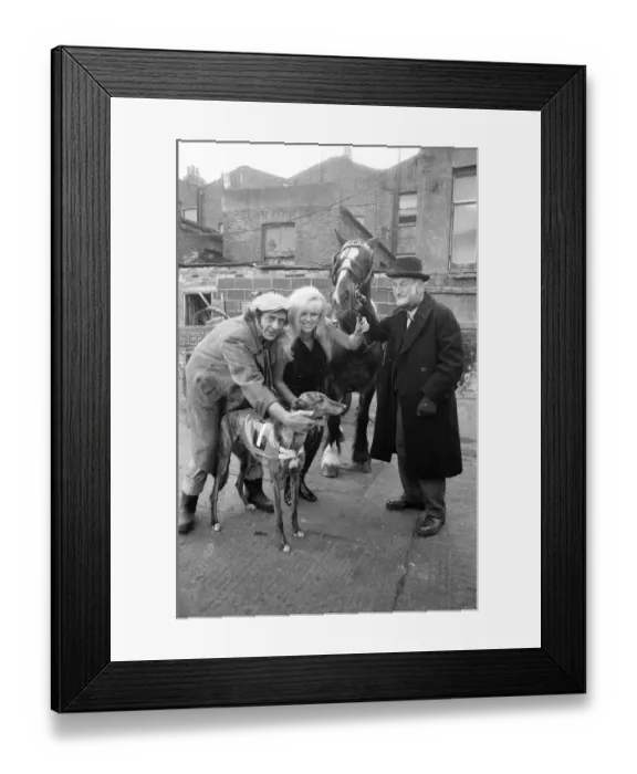 Framed Print : Steptoe and Son photocall to announce that a second feature film of the successful comedy Framed Print : Steptoe and Son photocall to announce that a second feature film of the successful comedy
