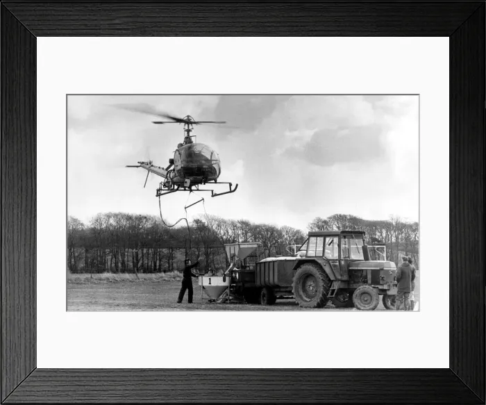 Framed Print : Pilot Tony Daly at the controls of his Hiller 12E helicopter spreading fertiliser Framed Print : Pilot Tony Daly at the controls of his Hiller 12E helicopter spreading fertiliser