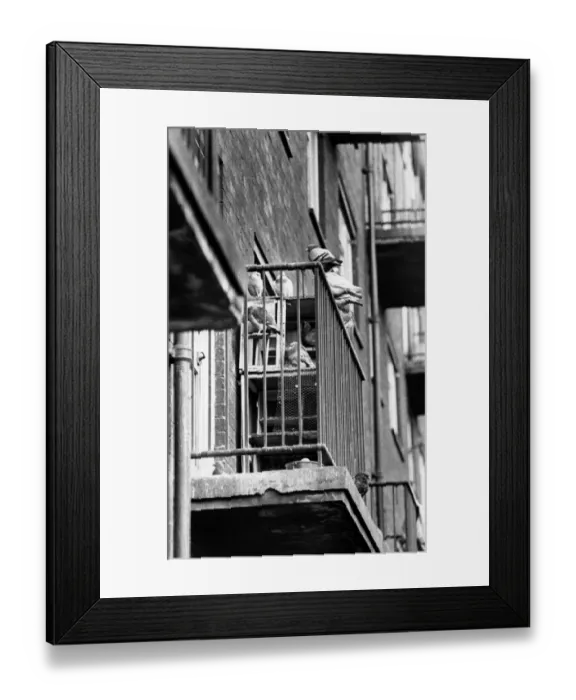 Framed Print : The Noble Street flats Housing Estate in Scotswood, Newcastle Framed Print : The Noble Street flats Housing Estate in Scotswood, Newcastle