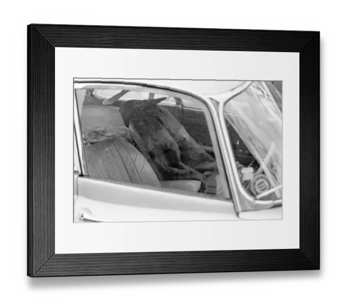 Framed Print : Donald Campbell, Coniston Water, Lancashire, 4th January 1967