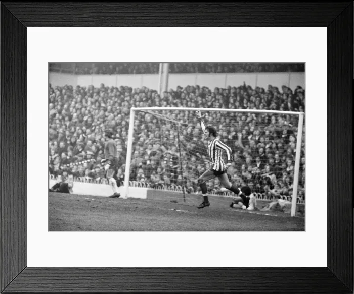 Framed Print : Tottenham Hotspur 1-3 Southampton, league match at White Hart Lane
