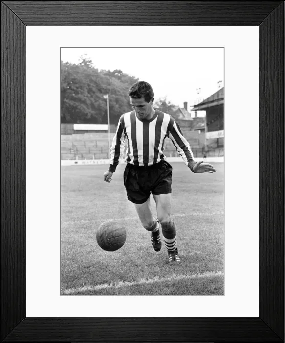 Framed Print : Southampton Football Players, August 1964
