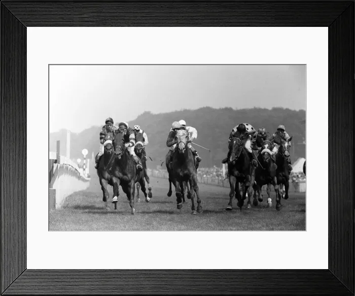 Framed Print : Horseracing Goodwood - The Stewards cup. Skydiver (left Framed Print : Horseracing Goodwood - The Stewards cup. Skydiver (left