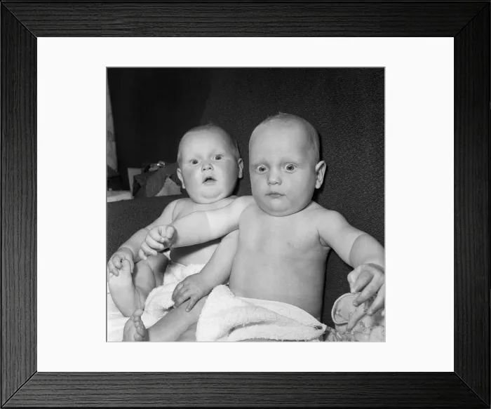 Framed Print : Twins Ian and Robert Kearns who both weighed eight pounds two ounces when they were born Framed Print : Twins Ian and Robert Kearns who both weighed eight pounds two ounces when they were born