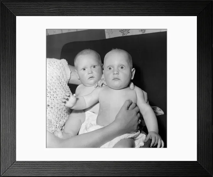 Framed Print : Twins Ian and Robert Kearns who both weighed eight pounds two ounces when they were born Framed Print : Twins Ian and Robert Kearns who both weighed eight pounds two ounces when they were born
