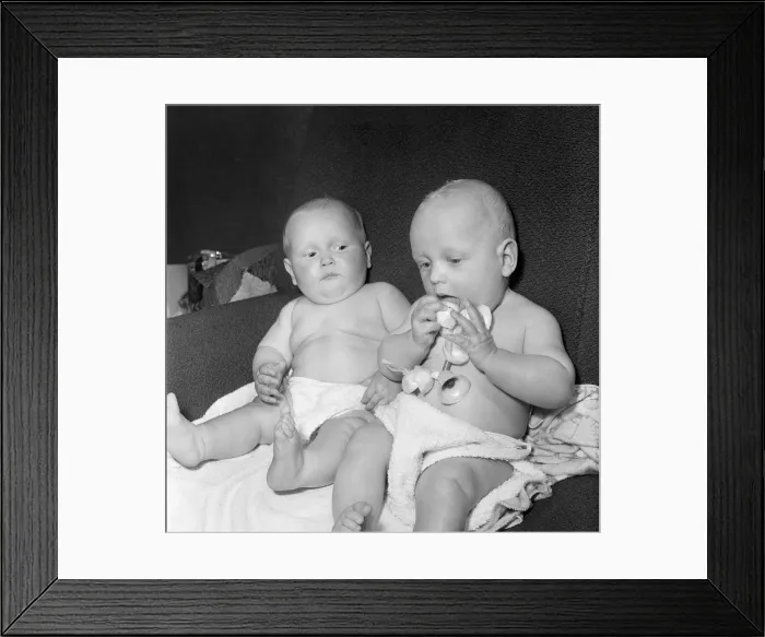 Framed Print : Twins Ian and Robert Kearns who both weighed eight pounds two ounces when they were born Framed Print : Twins Ian and Robert Kearns who both weighed eight pounds two ounces when they were born