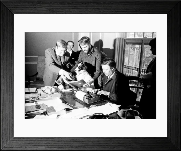Framed Print : Pickles-the black and white mongrel dog that sniffed-out the location of the World Cup is Framed Print : Pickles-the black and white mongrel dog that sniffed-out the location of the World Cup is