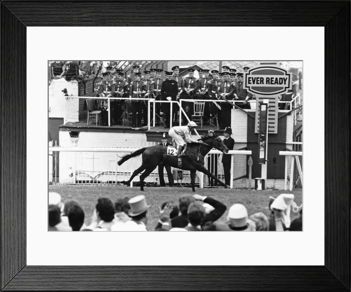 Framed Print : American jockey Steve Cauthen in action to win the Epsom Derby on Slip Anchor Framed Print : American jockey Steve Cauthen in action to win the Epsom Derby on Slip Anchor