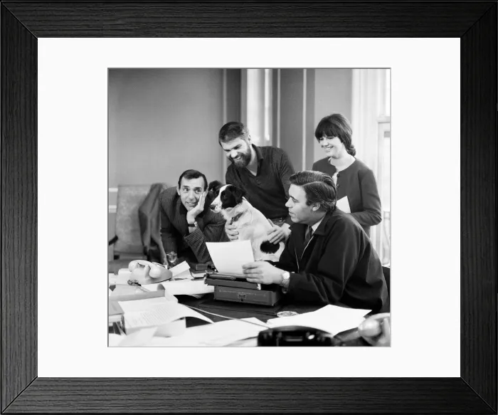 Framed Print : Pickles-the black and white mongrel dog that sniffed-out the location of the World Cup is Framed Print : Pickles-the black and white mongrel dog that sniffed-out the location of the World Cup is