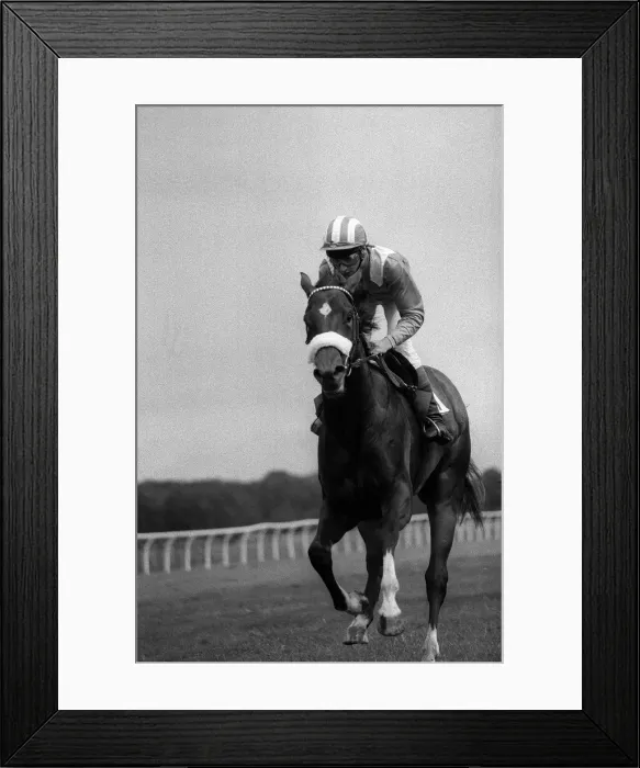Framed Print : American jockey Steve Cauthen riding Ferryman at Kempton Park, July 1987 Framed Print : American jockey Steve Cauthen riding Ferryman at Kempton Park, July 1987