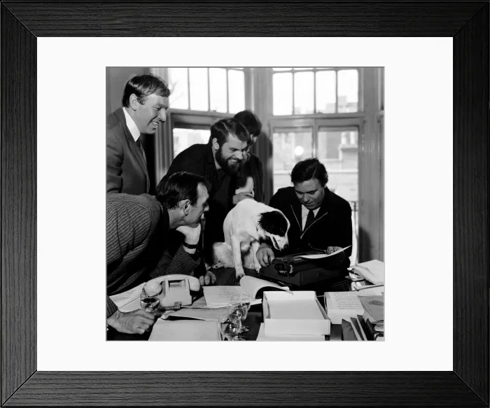 Framed Print : Pickles-the black and white mongrel dog that sniffed-out the location of the World Cup is
