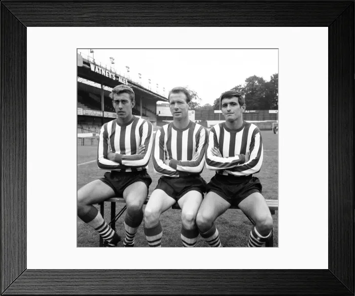 Framed Print : Southampton FC Pre Season Photocall, 13th August 1964. From Left to Right Framed Print : Southampton FC Pre Season Photocall, 13th August 1964. From Left to Right