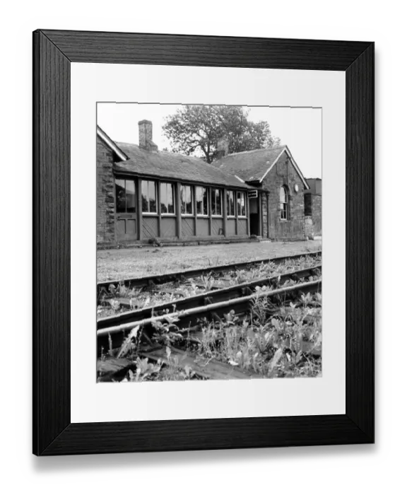 Framed Print : Railway lines at Chollerton are rapidly becoming overgrown with weeds and grass