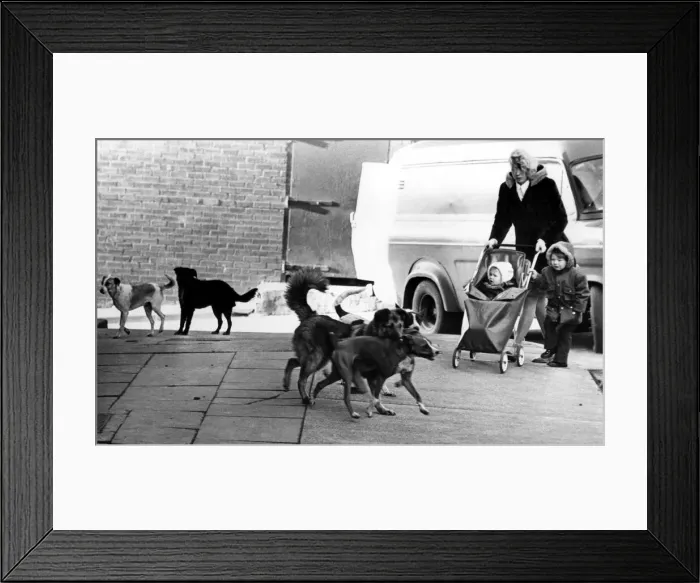 Framed Print : The Noble Street flats Housing Estate in Scotswood, Newcastle Framed Print : The Noble Street flats Housing Estate in Scotswood, Newcastle