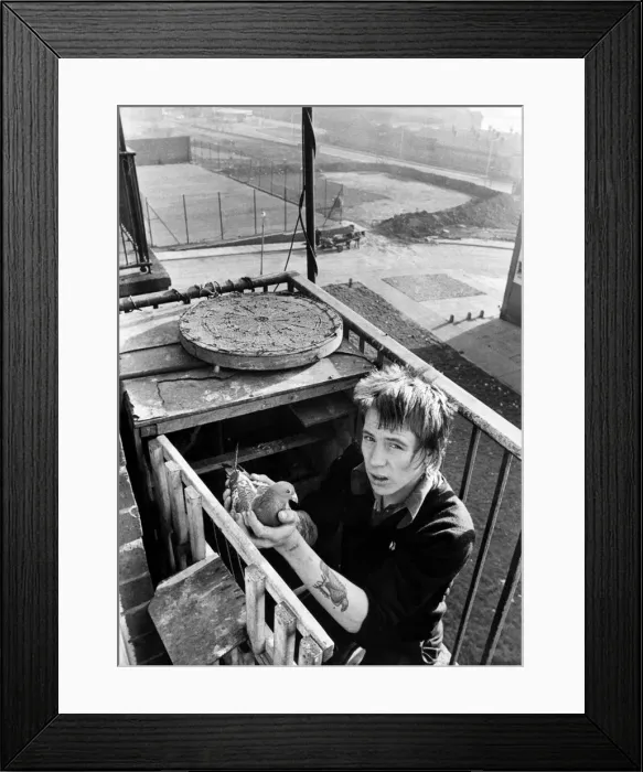 Framed Print : The Noble Street flats Housing Estate in Scotswood, Newcastle Framed Print : The Noble Street flats Housing Estate in Scotswood, Newcastle