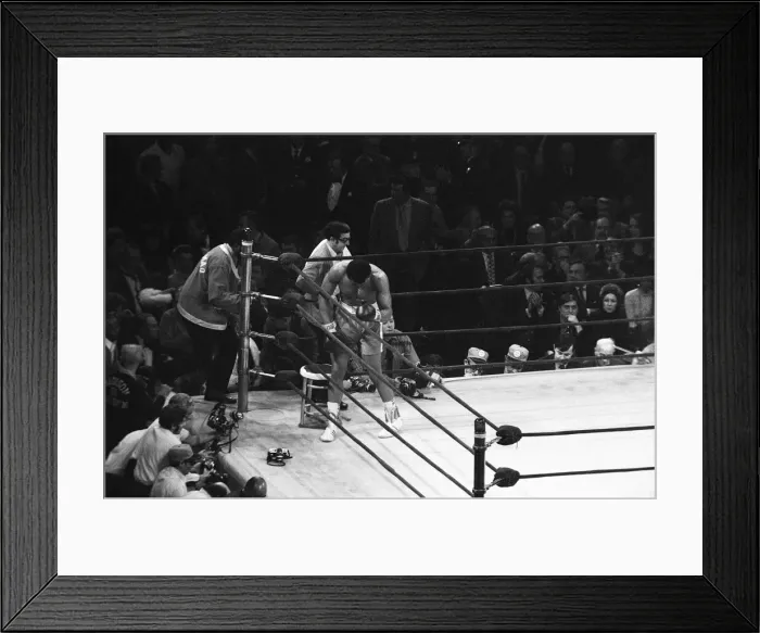 Framed Print : Boxing match between champion Joe Frazier and challenger Muhammad Ali held on March 8 Framed Print : Boxing match between champion Joe Frazier and challenger Muhammad Ali held on March 8