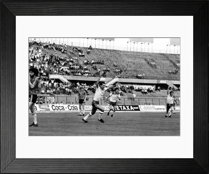 Framed Print : Belgium v England, European Championship Match, Group Stage, Group 2, Delle Alpi, Turin Framed Print : Belgium v England, European Championship Match, Group Stage, Group 2, Delle Alpi, Turin