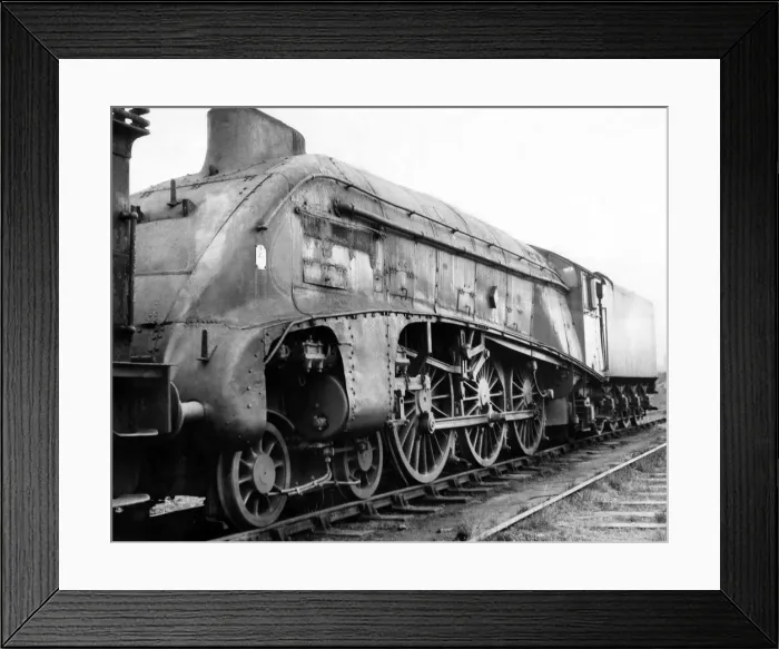 Framed Print : The Kingfisher, shorn of her brilliant plumage and even her nameplate Framed Print : The Kingfisher, shorn of her brilliant plumage and even her nameplate