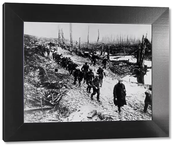 The Great War, ( First World War, WW1, World War One ). Mud, lice, desolation