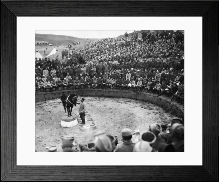 Framed Print : Entertainment for the troops. The circus that has been inaugurated for the amusement of Framed Print : Entertainment for the troops. The circus that has been inaugurated for the amusement of