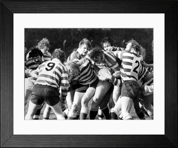 Framed Print : Sport - Rugby Rugby action from the game between Gosforth Framed Print : Sport - Rugby Rugby action from the game between Gosforth