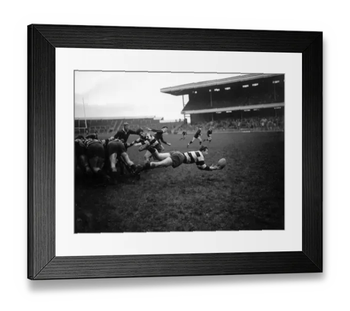 Framed Print : London Wasps v Cardiff Blues, Rugby Union match, December 1959 Framed Print : London Wasps v Cardiff Blues, Rugby Union match, December 1959