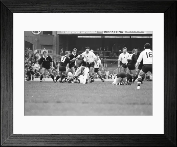 Framed Print : London Wasps v Bath, John Player Special Cup Final, match at Twickenham Framed Print : London Wasps v Bath, John Player Special Cup Final, match at Twickenham