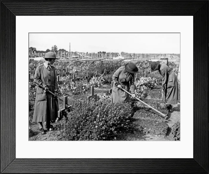 Framed Print : The Womens Army Auxiliary Corps gardeners seen here tending the graves of our fallen Framed Print : The Womens Army Auxiliary Corps gardeners seen here tending the graves of our fallen
