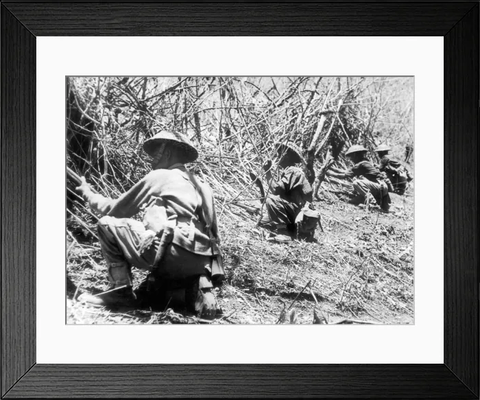 Framed Print : Gurkha soldiers in position cut bamboo stakes to protect their newly won positions during
