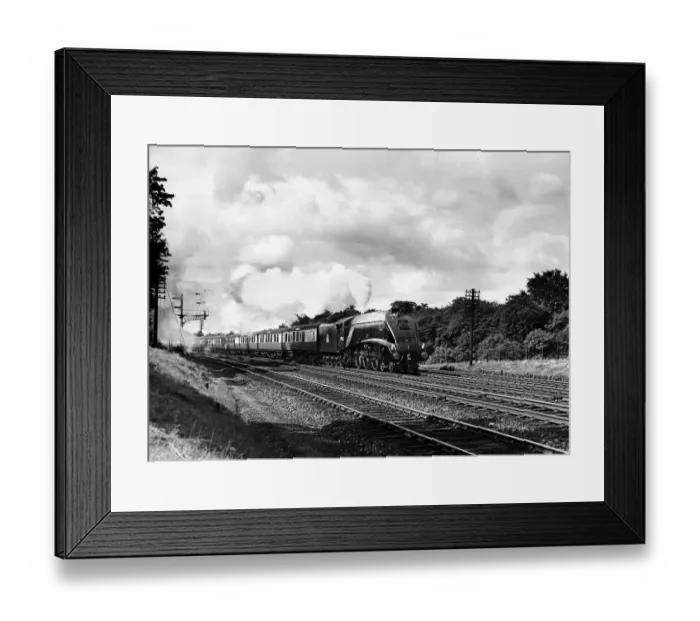 Framed Print : The London North East Railway Class A4 4-6-2 steam locomotive 60032 Gannet heads Framed Print : The London North East Railway Class A4 4-6-2 steam locomotive 60032 Gannet heads